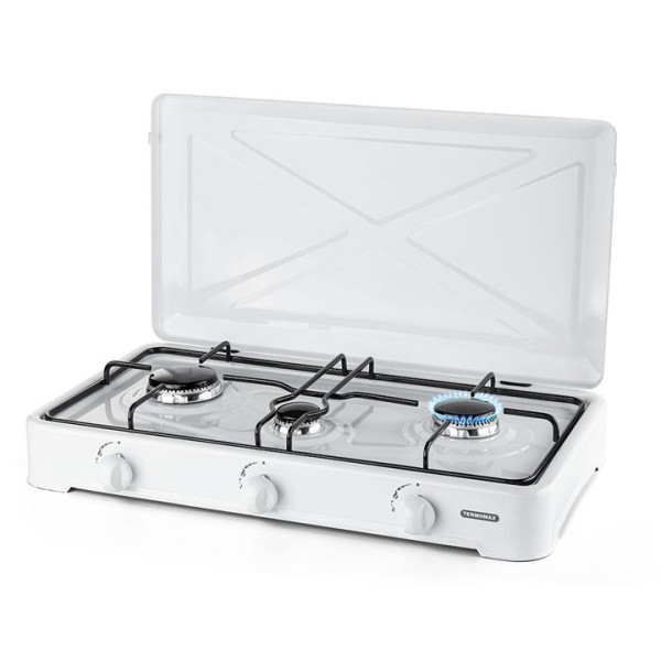 Троен газов котлон Termomax TX303