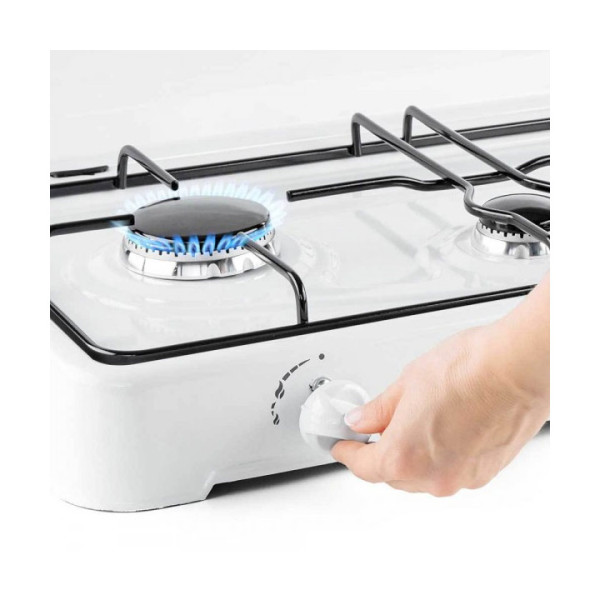 Троен газов котлон Termomax TX303