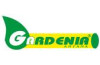 Gardenia