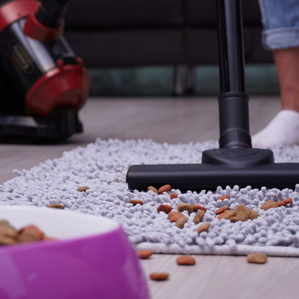 Прахосмукачка без торбичка Rosberg R51001B