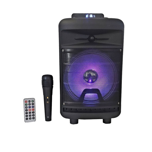 Караоке тонколона CH-T81