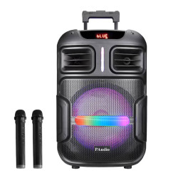 Караоке тонколона PAudio PA-122