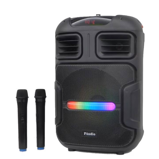 Караоке тонколона PAudio PA-122
