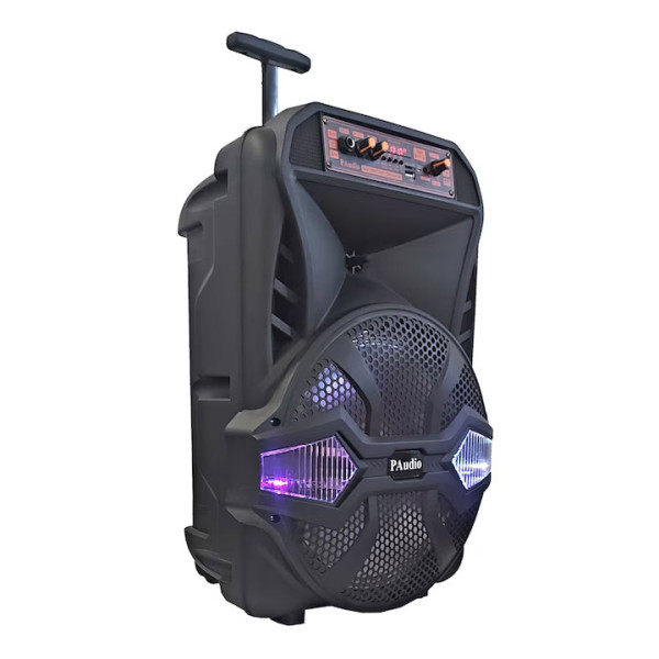 Кареоки тонколона PAudio РА-120