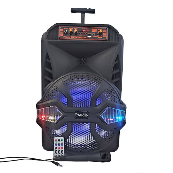 Кареоки тонколона PAudio РА-120