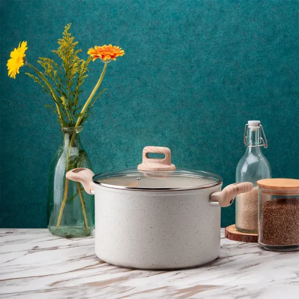 Тенджера Voltz Nice OV54418E20, 20x9.5 см, 2.9 л