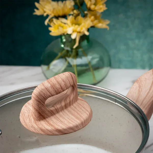 Тенджера Voltz Nice OV54418E20, 20x9.5 см, 2.9 л